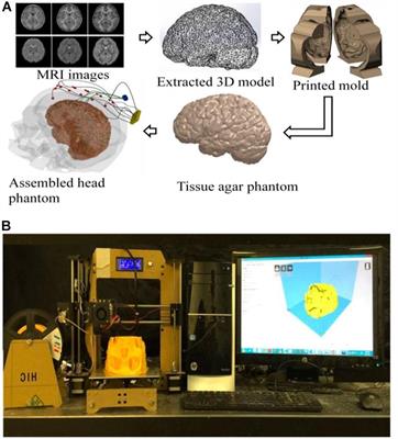 Transcranial Direct Current Stimulation Optimization – From Physics-Based Computer Simulations to High-Fidelity Head Phantom Fabrication and Measurements